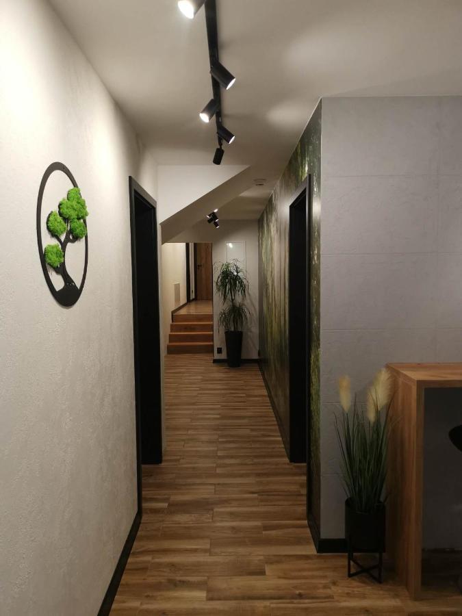 Apartament Skorusinka W Poblizu Chocholowskich Term Witów Eksteriør billede